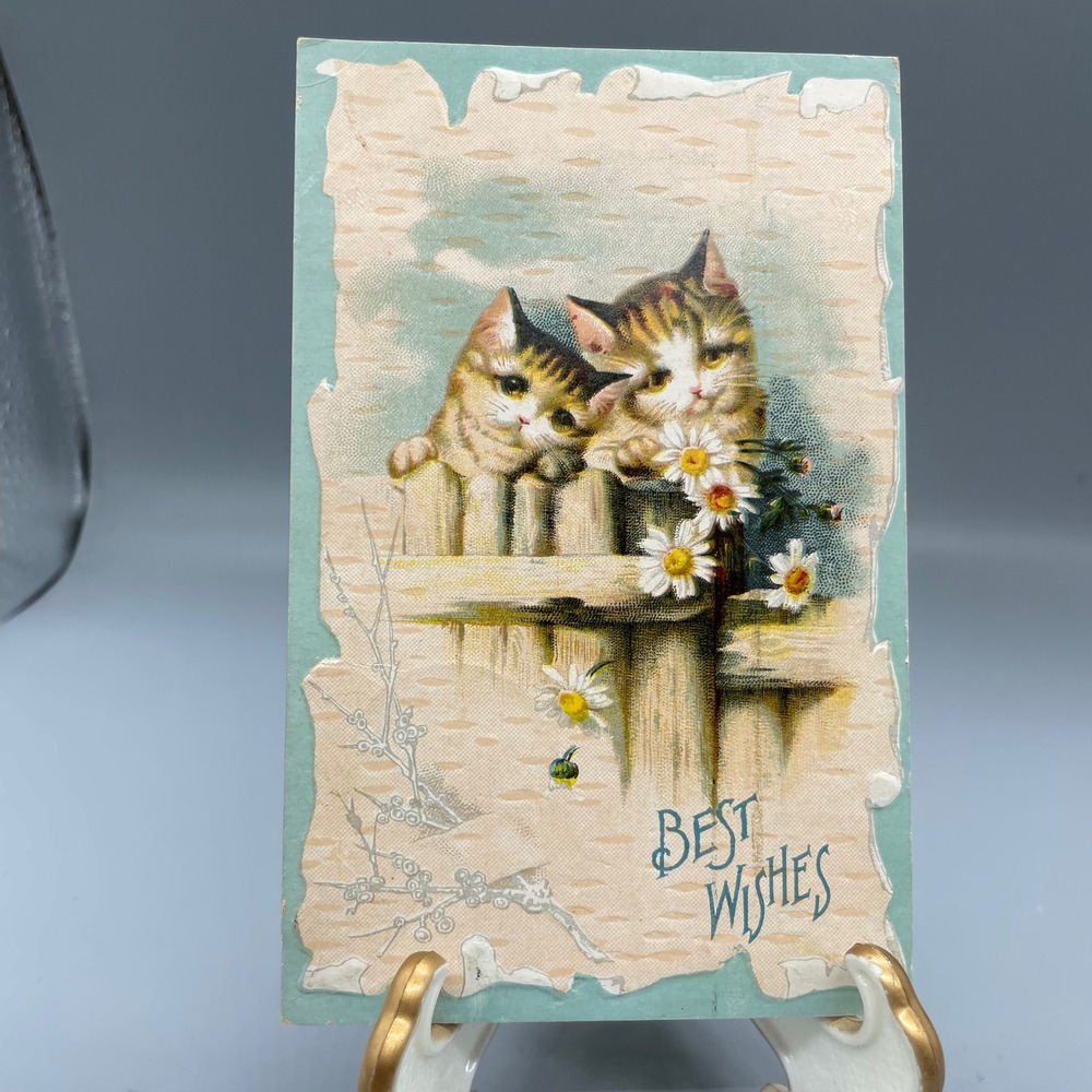 Antique 1909 Best Wishes Postcard Kittens Fence Daisies Wayland TX Postmark